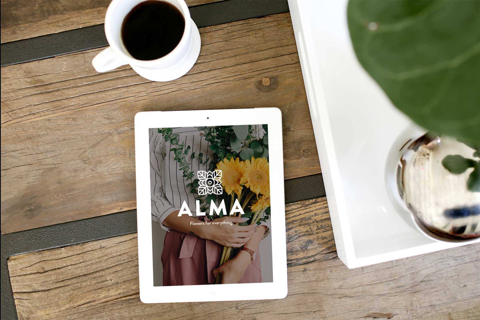 Brand Identity and Design